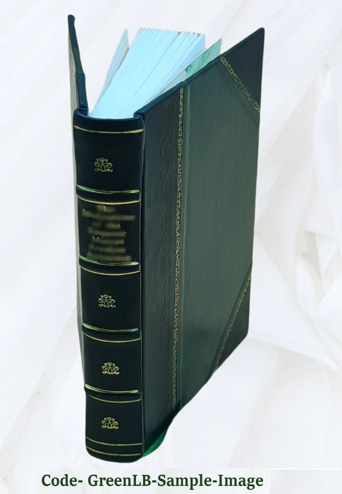 Interurban Passenger Service Report S53798