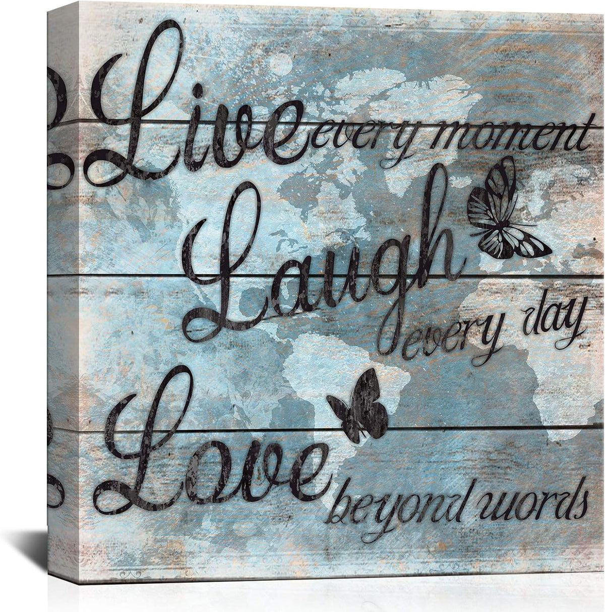 Butterfly Canvas Wall Art 24x24 Y643