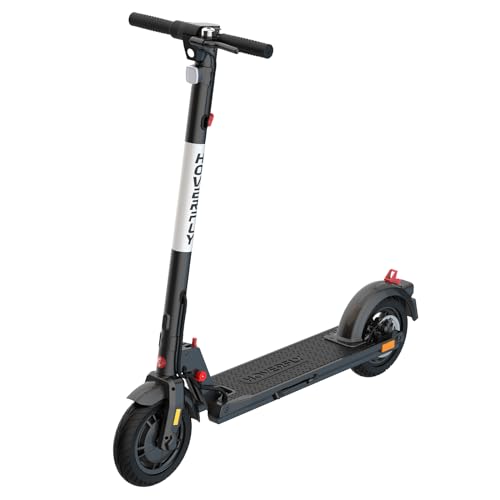 Electric Scooter with 10" Solid Tire, 300W Motor, Foldable R732