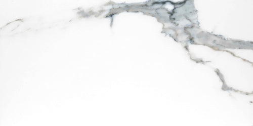 12 in. x 24 in. Polished Porcelain Floor And Wall Tile X6850