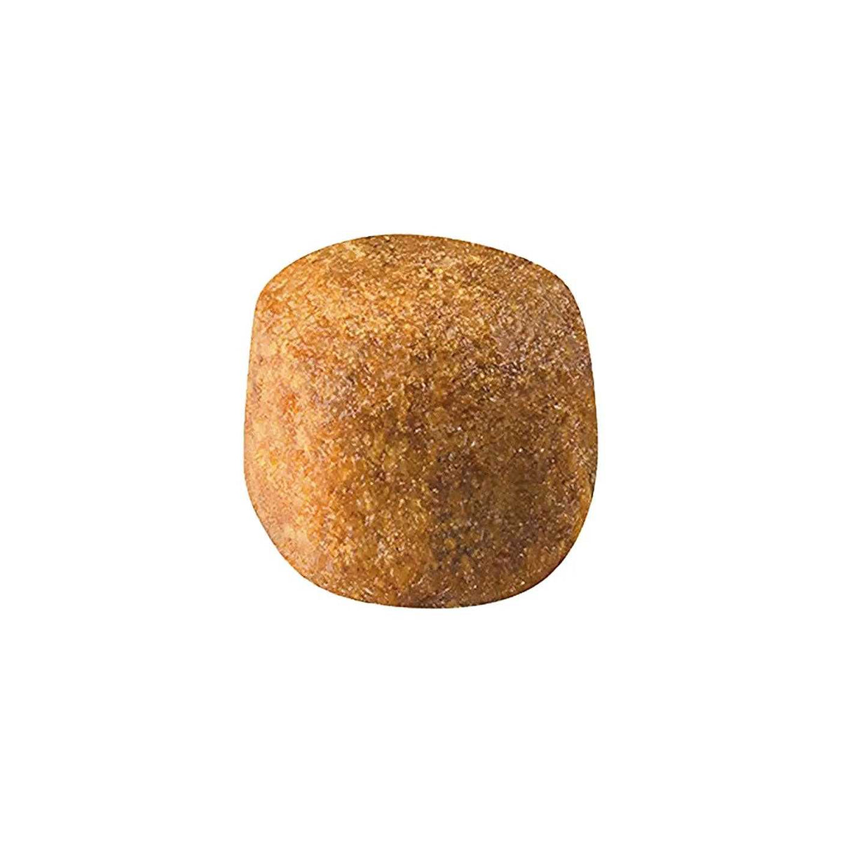 Maine Coon Dry Cat Food B753810