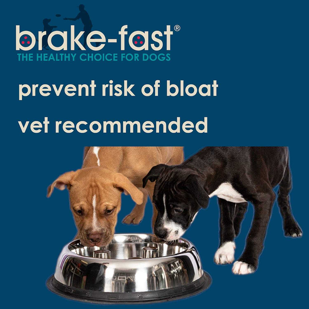 Stainless Steel Dog Bowl N100870