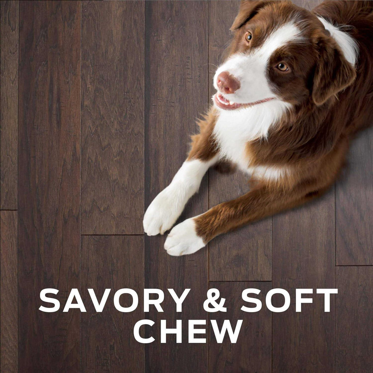Digestive Health Bites Dog Treats K235476