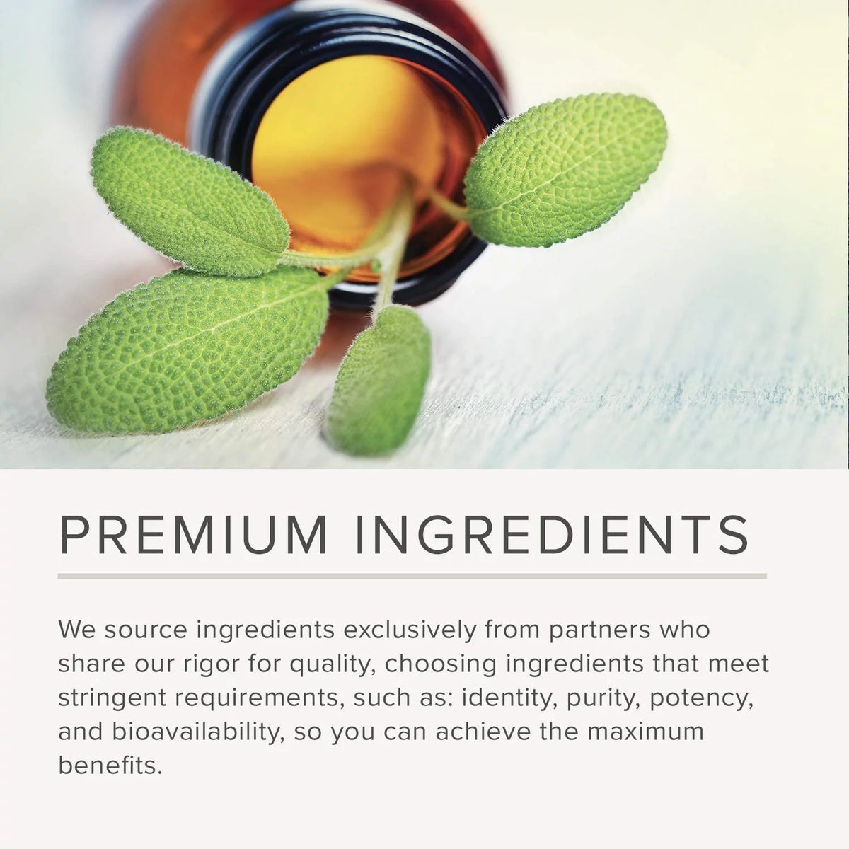 Saw Palmetto Extract 200 Capsules Gluten-Free Dietary Supplement R5999