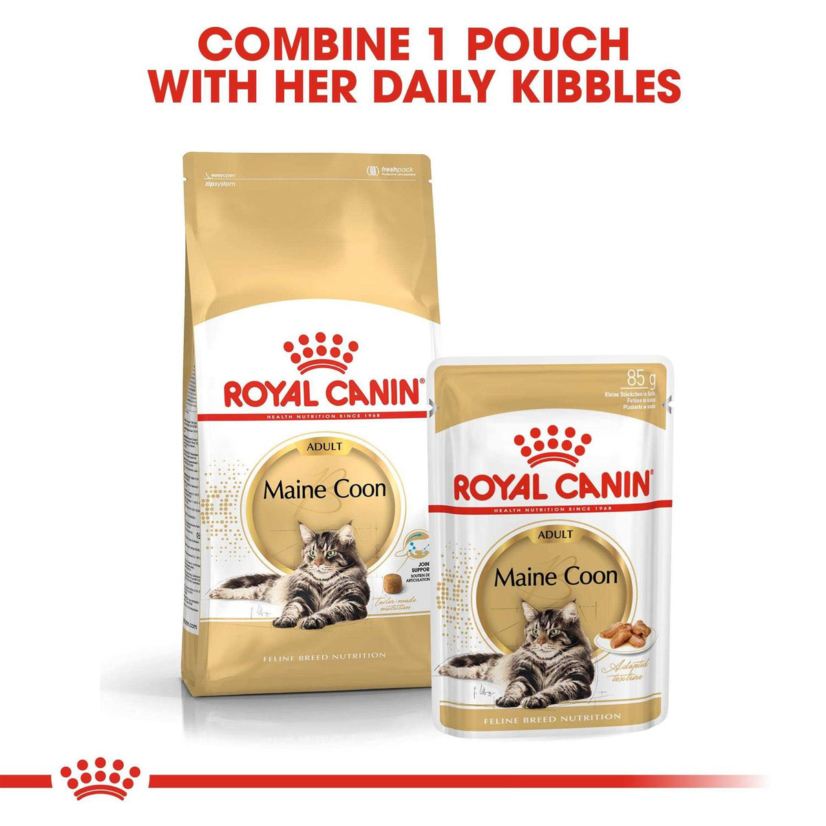 Maine Coon Dry Cat Food B753810