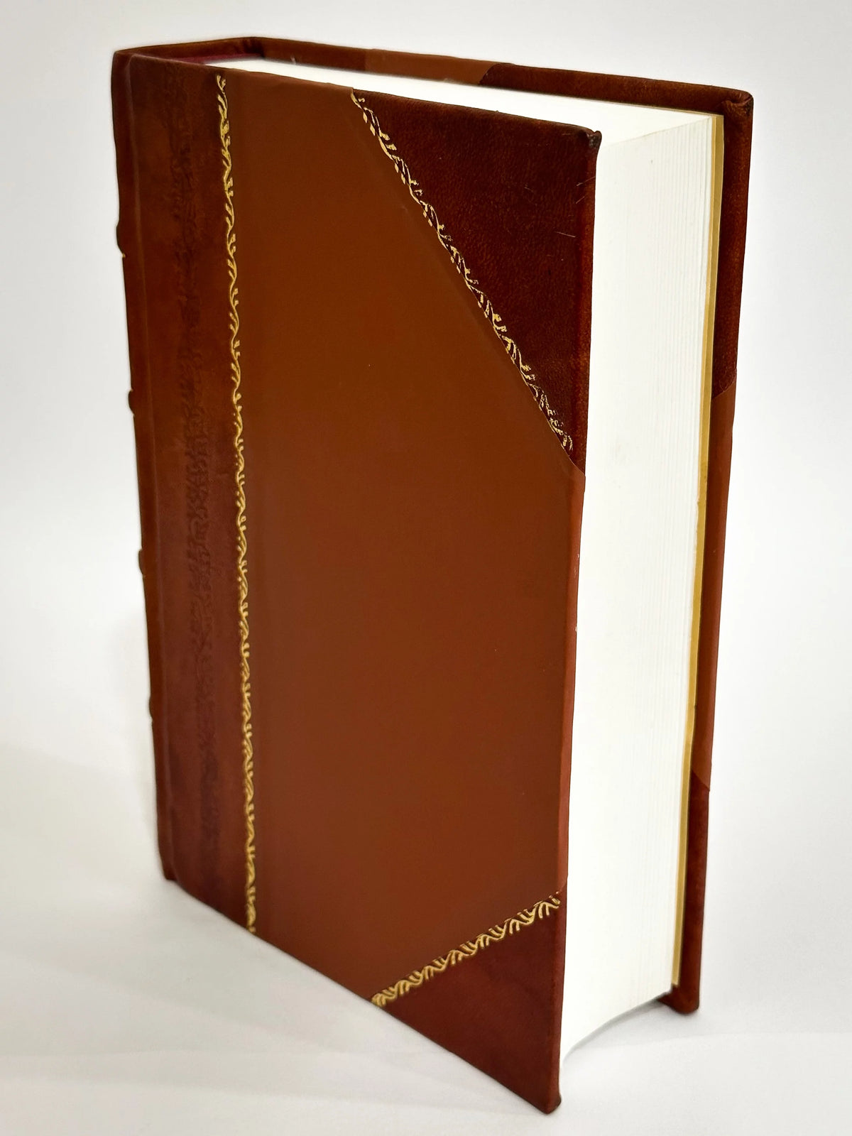 Therapeutics Handbook B79065