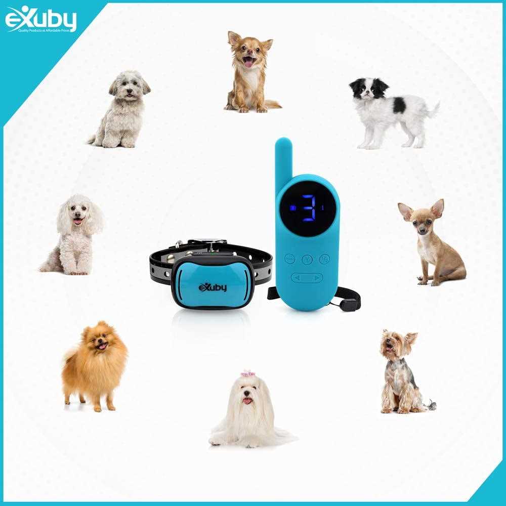 Tiny Shock Collar for Small Dogs 5-15lbs W650645