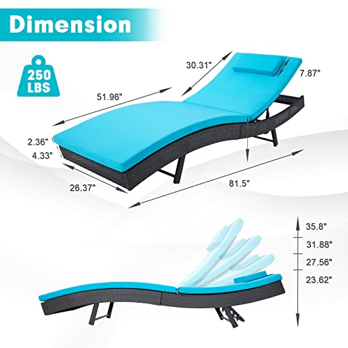 Outdoor Reclining PE Rattan Steel Frame Chaise Lounge Chairs Set of 2 K605
