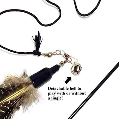 2 Guinea Feather Wand Cat Toy B370