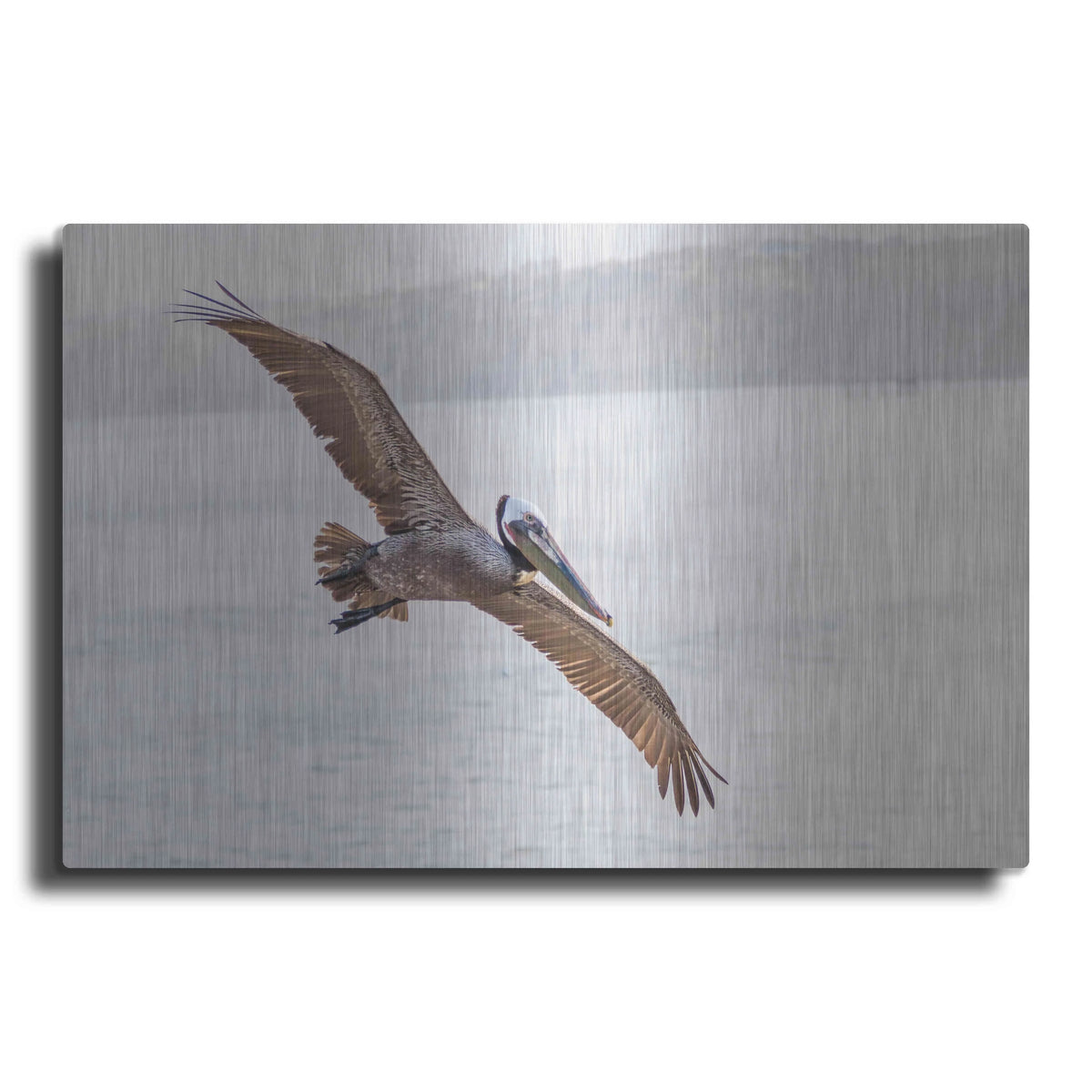 Metal Wall Art, 16"x12" K488