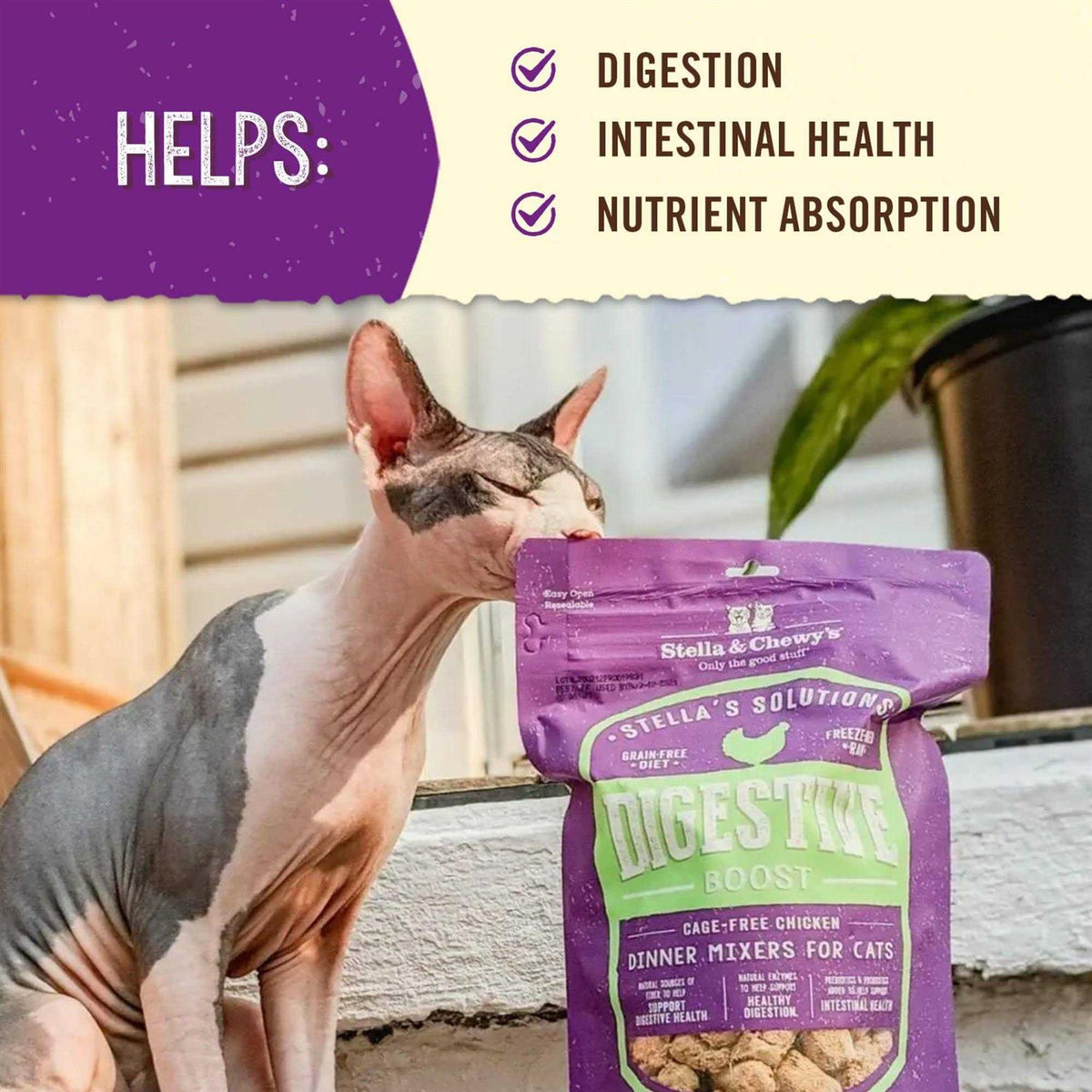 Digestive Boost Cat L39242