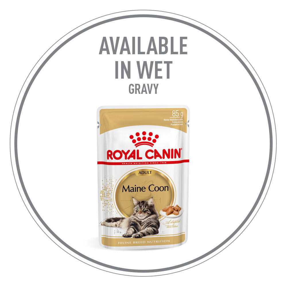 Maine Coon Dry Cat Food B753810