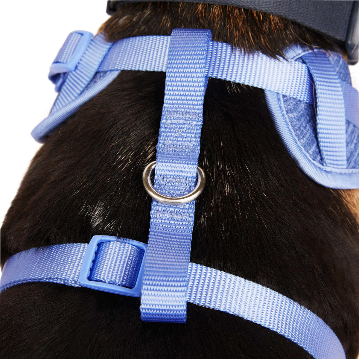 Heather Pullover Dog Harness F367